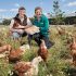 Morrisons helps egg producers create biodiverse farmland