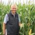 Drought-hit grassland could benefit from forage maize