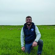 Forage crops help optimise output