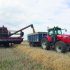 Hybrid rye catches eye of first-time growers