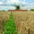 Network aims to tackle arable carbon footprint
