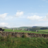 Peak District farm for sale for first time in 80 years