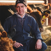 ABP invests £1.5m for more sustainable beef and lamb