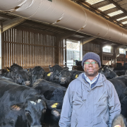 Good ventilation lifts growth rates for Gloucestershire beef producer