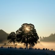 A practical approach to improving biodiversity and farm resilience