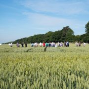 Arable Event returns to Bradford Estates