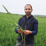 Variable soil quality hampers efficient crop production