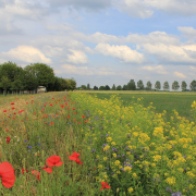 ‘Roadmap’ seeks to supercharge farming transition