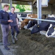 Trial shows methane reduction in herds using health system