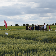 Regional trials ‘best for crop variety decisions’