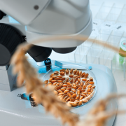 Cutting-edge farm projects to receive £30m in funding