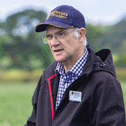 Peace of mind from new winter wheat