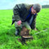 How to nurture soil health and recovery in grassland