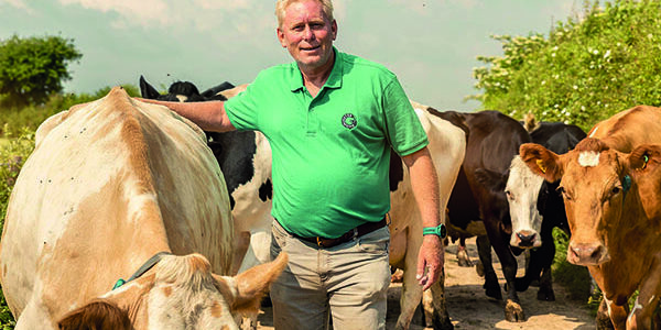 Cheese-maker replaces imported soya meal with homegrown pulses