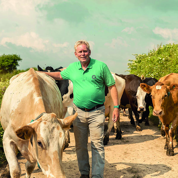 Cheesemaker replaces imported soya meal with homegrown pulses Midland Farmer Magazine