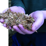 ‘Maize silage slump’ risk when opening clamps early