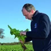 Fast-paced changes prompt fresh furrow future for farming