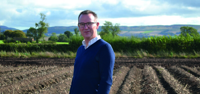 New chief executive for British potato growers