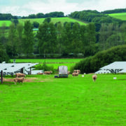 Diversification is ‘vital boost’ to farm incomes