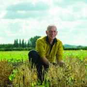 Lincolnshire farmer grows first crop of UK baked beans