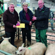 Fatstock Cup double for Oswestry farmer