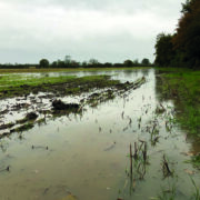 Wet autumn paves way for surge in spring crops
