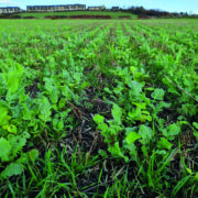 Carbon-friendly farming ‘is all about balance’