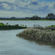 Defra considers options following winter floods