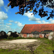 New rights could make diversification easier