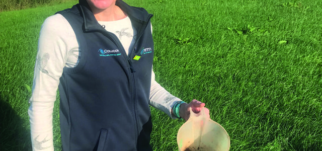 How monitoring soil carbon content can boost productivity