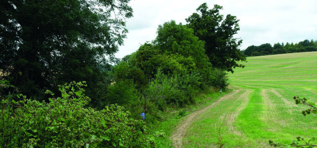 Simpler approach to SFI can deliver bigger benefits