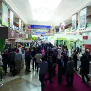 Exporters promote UK beef and lamb