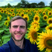 More growers choose sunflowers this spring