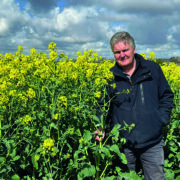 Conventional rape varieties are ‘worth another look’