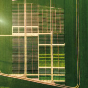 Spotlight to shine bright on crop trials at Arable Event