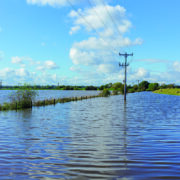 Five-point plan to navigate farming’s financial storm