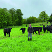 How new grazing system boosts beef profitability