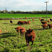 Mineral level warning follows wet winter