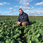 Liquid fertiliser: why more growers plan to switch