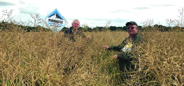 Why resistance is ‘only way’ to combat verticillium