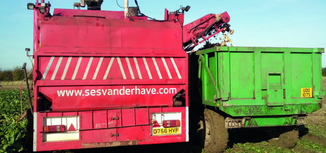 Crops growing well as harvest approaches