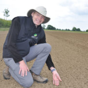 5 tips for early drilled wheat this autumn