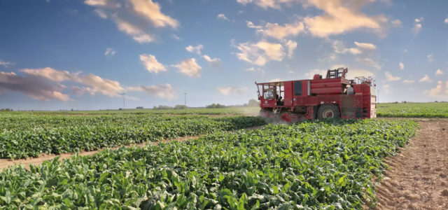 2024 sugar beet campaign is ‘performing well’