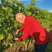 Family farms reap rewards from diversificatiion