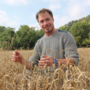 3 steps for optimal grassweed control in spring barley