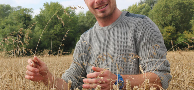3 steps for optimal grassweed control in spring barley