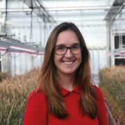 Full approval for two RAGT wheats