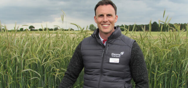 ‘Magnificent seven’ new varieties from Elsoms