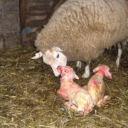 How to avoid running on empty