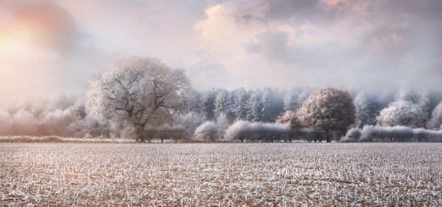 Treading a fine line